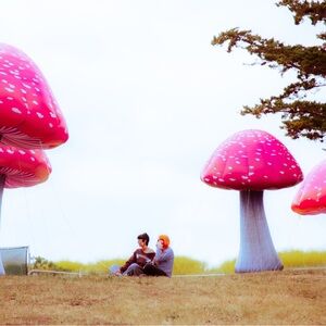 Whimsical Pink and Gray Mushroom Art Installation